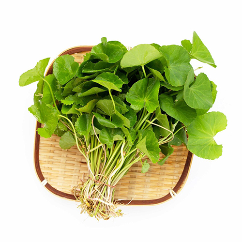 a bunch of green leaves on a brahmi