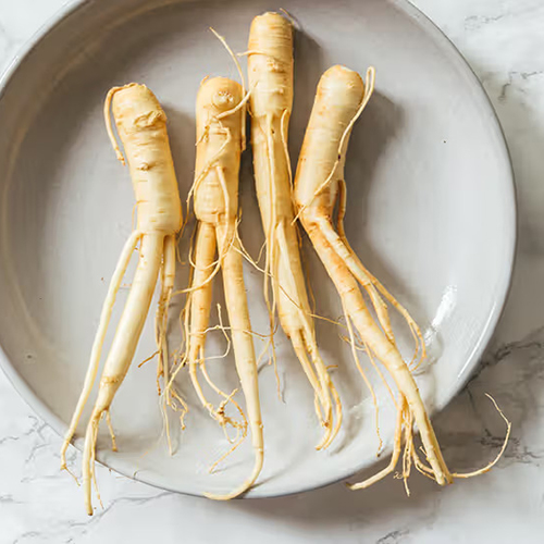 a group of root vegetables on a plate ginseng