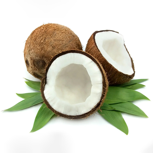 a coconut with leaves on top