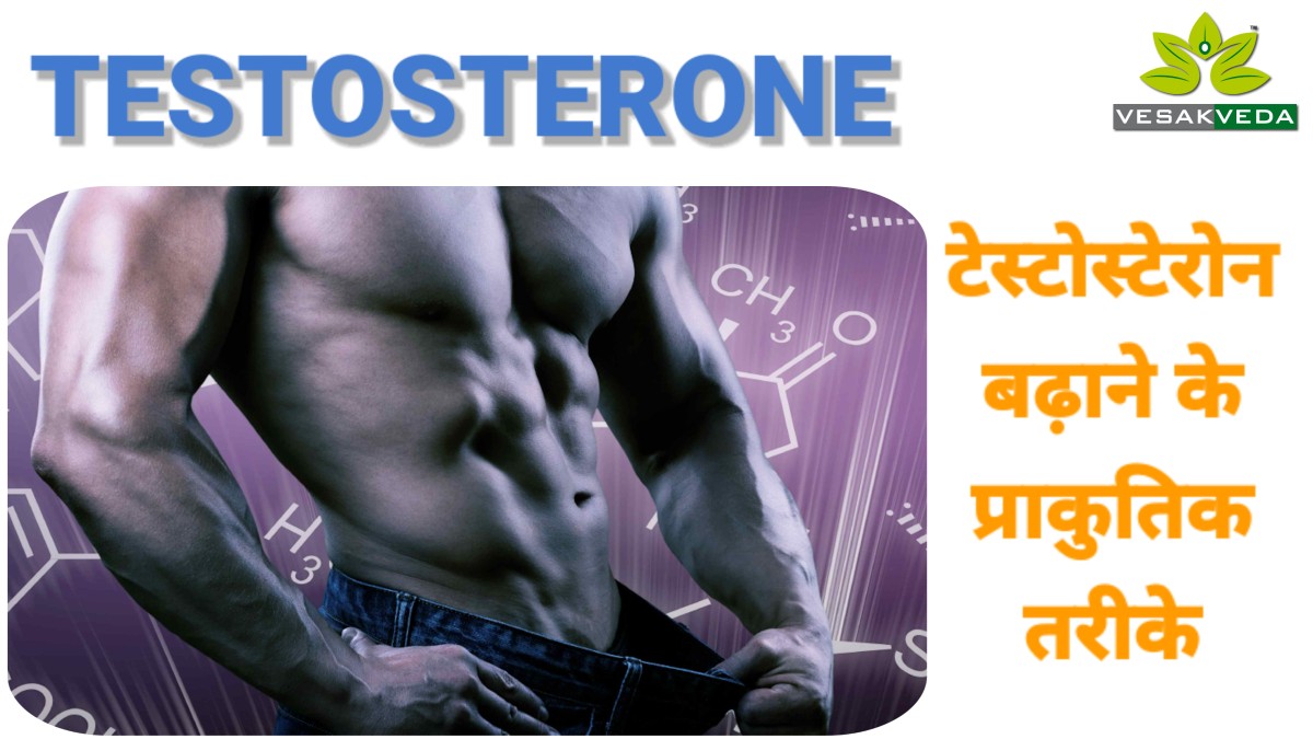 testosterone